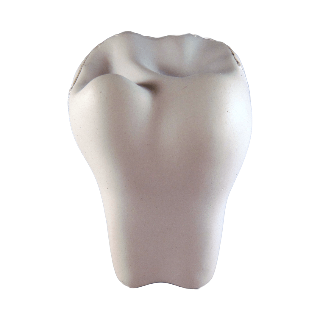 Tooth Front