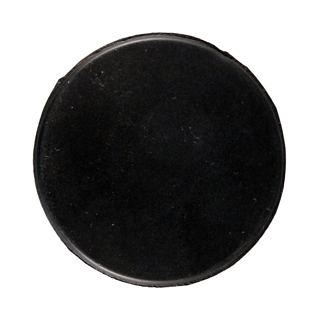 Puck Top View