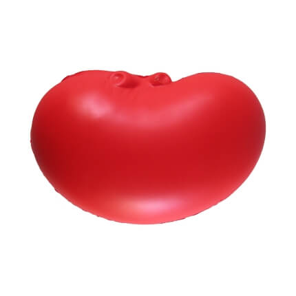 Organ Kidney Underside