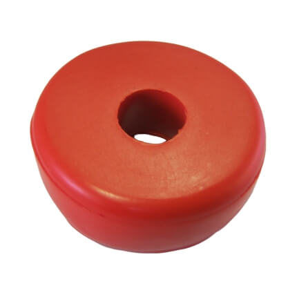 Doughnut Bottom View