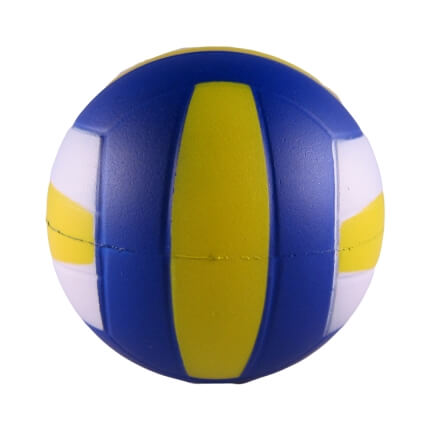 Volleyball Back
