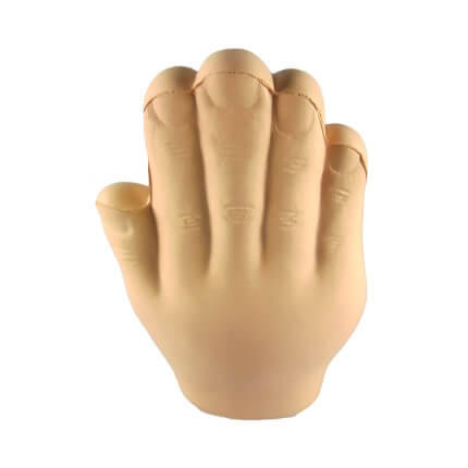 Hand Top View