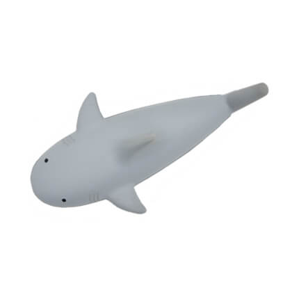 Shark Top View