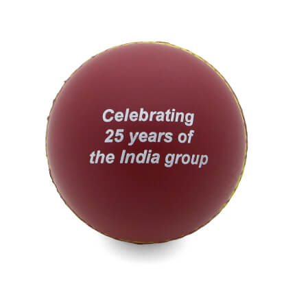 Stress Cricket Ball Rear View