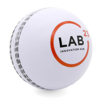 White Cricket Ball Rear View